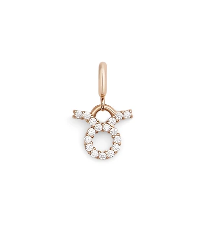 Daniel Wellington Women's Rose Gold Tone Stainless-Steel Watch Charm