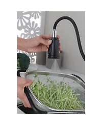 Brushed Nickel Pull Out Kitchen Faucet with Pull Down Sprayer