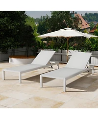 Streamdale Aluminum Outdoor Chaise Lounge Set (2)