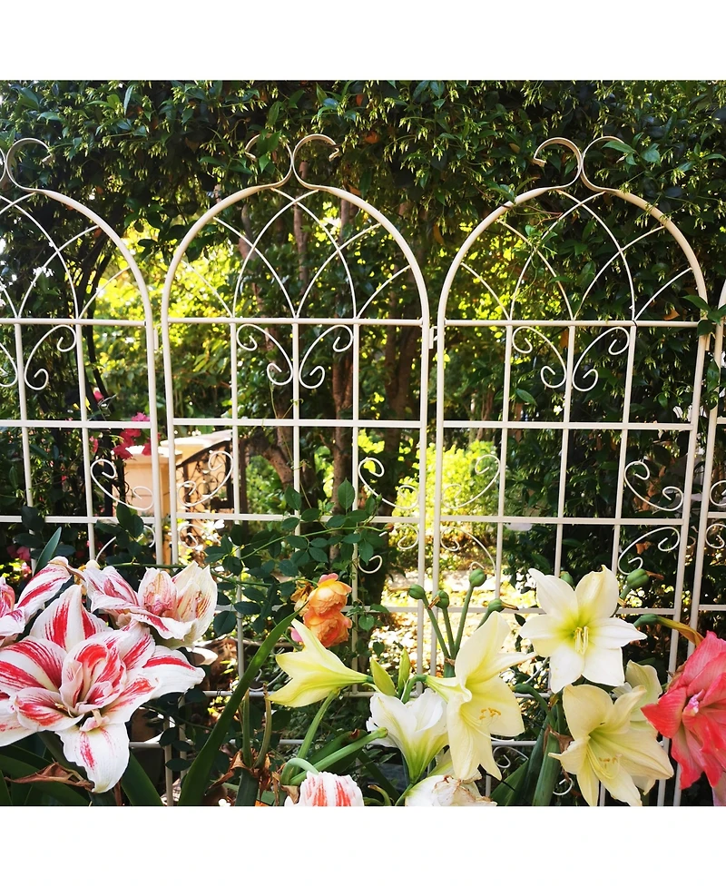 Streamdale Rustproof Metal Garden Trellis for Climbing Plants