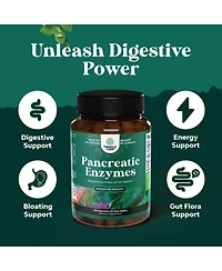 Pancreatic Digestive | Enzymes for Digestive Health, Protease Amylase & Lipase Enzymes for Digestion | 120ct
