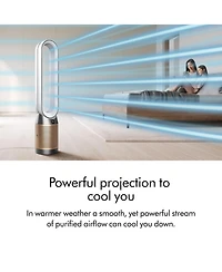 Dyson Purifier Cool PC2 De-NOx