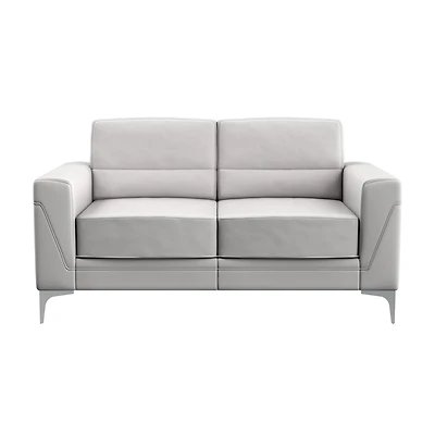 Faux Leather Loveseat for Modern Living Room Seating and Stylish Decor