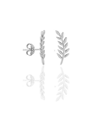 Spero London Wheat Earrings Ear Of Wheat Sterling Silver Stud Earring
