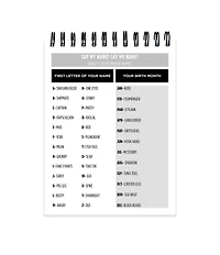 Stay Positive Assorted Puzzle Book