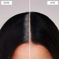 Root Touch-Up Kit