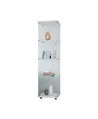 Streamdale 4-Shelf Glass Display Cabinet with Door (64.7" x 16.7" x 14.3")