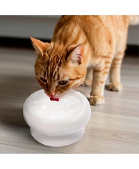 P.t. Supply Co. Abstract Bubble Shaped Stoneware Elevated Pet Bowl, Raised Ceramic Food & Water Dish for Dogs and Cats