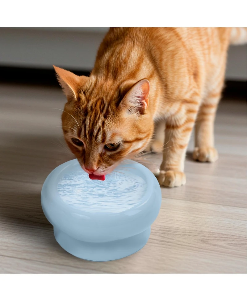 P.t. Supply Co. Abstract Bubble Shaped Stoneware Elevated Pet Bowl, Raised Ceramic Food & Water Dish for Dogs and Cats