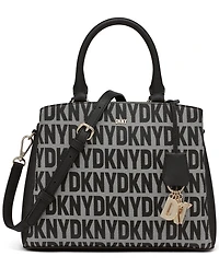 Dkny Paige Satchel Bag