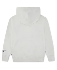 Levi's Little Boys Street Style Hoodie