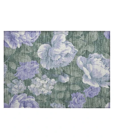Addison Chantille ACN1563 1'8"x2'6" Area Rug