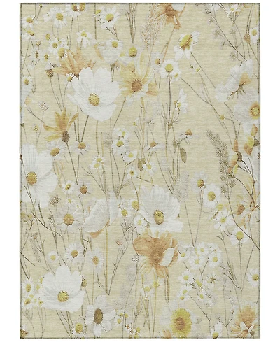 Addison Chantille Machine Washable ACN1505 8'x10' Area Rug