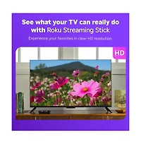 Roku Streaming Stick Hd W