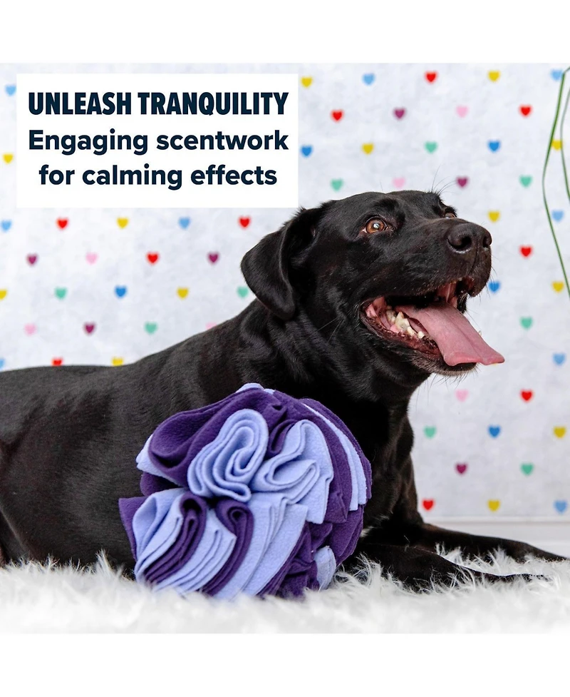 Puppington Pupper Snuffle Ball - Snuffle Ball for Dogs