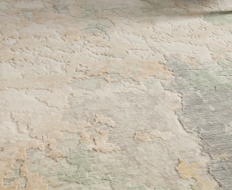 Feizy Jaxson 39SAF 2'x3' Area Rug