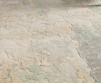 Feizy Jaxson 39SAF 2'x3' Area Rug