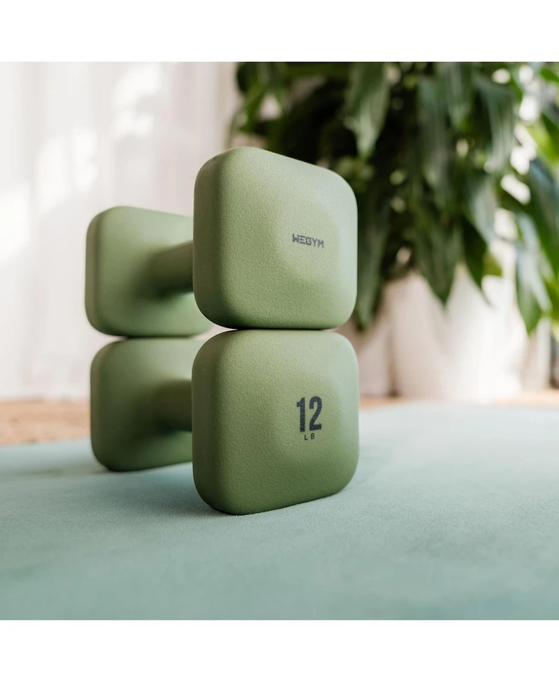 WeGym PreWeGym SafeGrip Dumbbells Medium Set - 5, 8, 10, 12 lbsmium Suede Mat