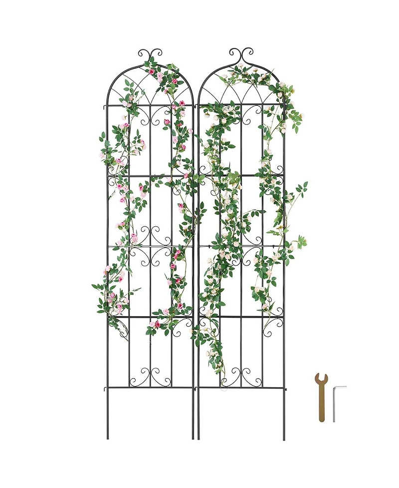 Slickblue Set of 2 Rustproof Metal Trellises for Garden Climbing Plant Support and Decoration