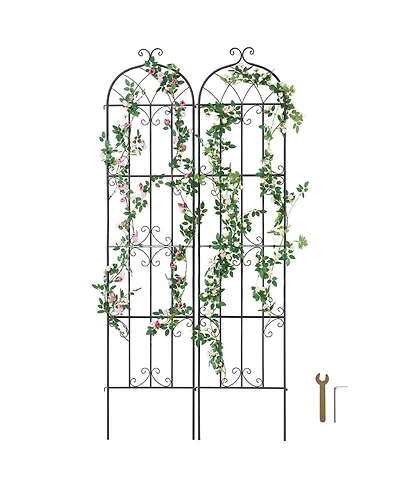 Slickblue Set of 2 Rustproof Metal Trellises for Garden Climbing Plant Support and Decoration
