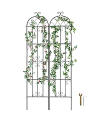 Slickblue Set of 2 Rustproof Metal Trellises for Garden Climbing Plant Support and Decoration