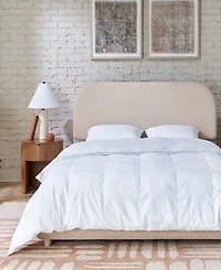 Indulgence by Isotonic Down Alternative Comforter