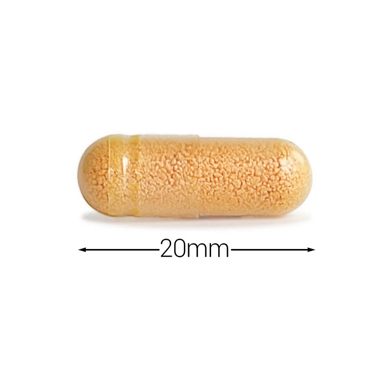 Cytoplan Cell-Active Curcumin Plus 60 (caps) Usa