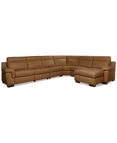 Julius Ii -Pc. Leather Chaise Sectional with 1 Power Recliner