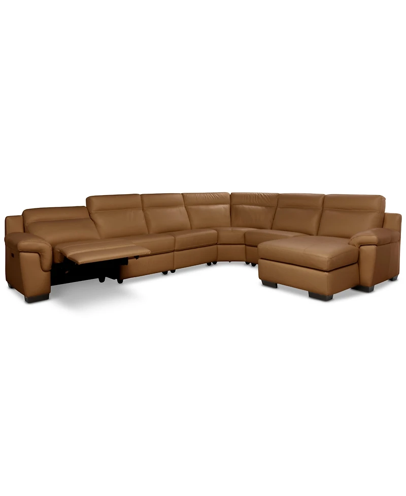 Julius Ii -Pc. Leather Chaise Sectional with 1 Power Recliner