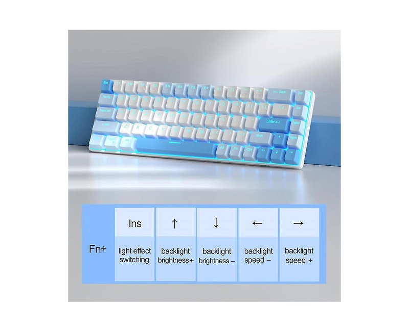 risokeys Portable 60% Mechanical Gaming Keyboard, Backlit Compact 68 Keys Mini Wired Office Keyboard with Red Switch for Windows Laptop Pc Mac