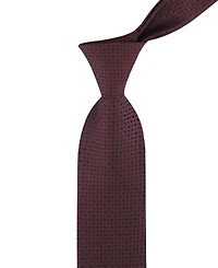 Calvin Klein Men's Carter Micro Neat Tie