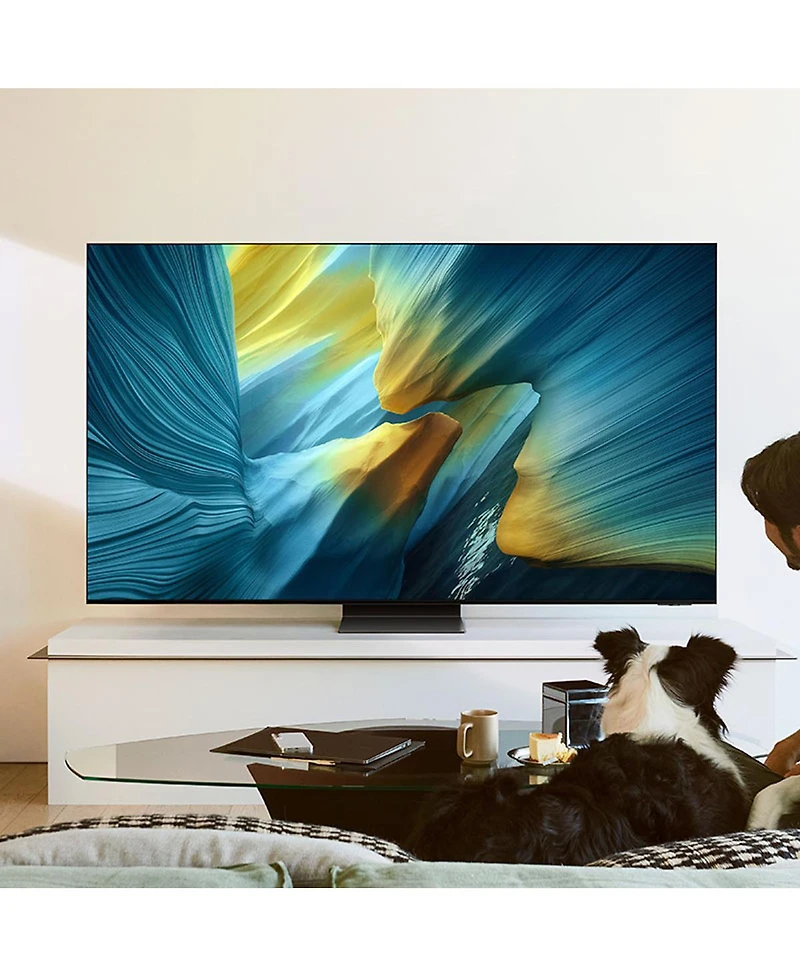 Samsung S95F 83 Inch 4K Oled Smart Tv with AudioQuest Sky 3m Hdmi Cable