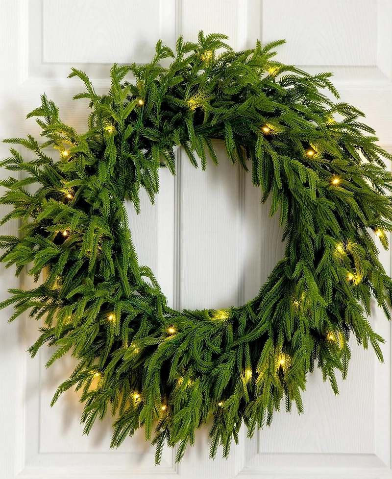 Nearly Natural 24" Pre-Lit Artificial Touch Norfolk Island Pine Wreath Led Lights and Natural Look