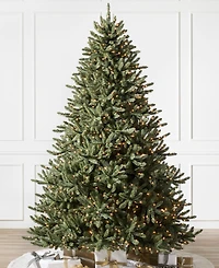 Balsam Hill ft Pre-Lit Classic Spruce Tree