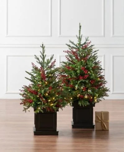 Balsam Hill Outdoor Berry Pre Lit Potted Tree Collection