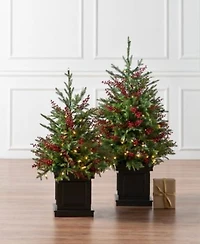Balsam Hill Outdoor Berry Pre Lit Potted Tree Collection