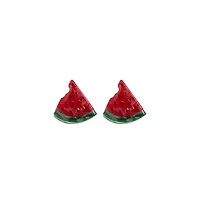Take A Bite Out Of My Watermelon Hair Clip By Adina Eden