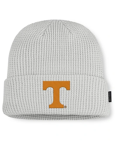 Nike Men's Gray Tennessee Volunteers 2025 On-Field Utility Cuffed Knit Hat
