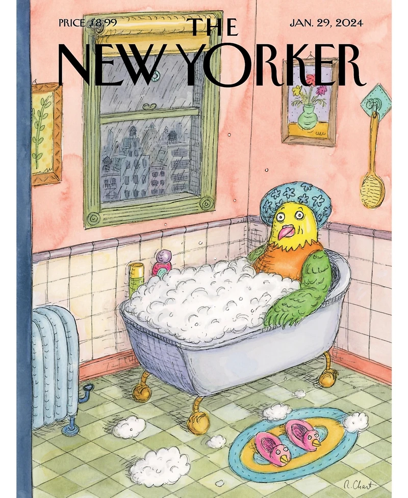 New York Puzzle Company Bird Bath 500 Piece Puzzle