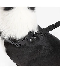 The Licker Store, Luna 8FT Adjustable 6-in-1 Waterproof Hands-Free Leash and Collar with Led Flashlight, Bag Dispenser