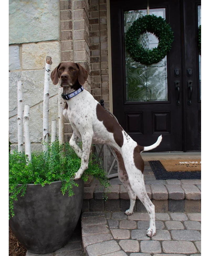 Up Country Daisy Dog Collar