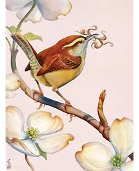 New York Puzzle Company Carolina Wren 500 Piece Puzzle