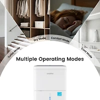 Waykar 2000 Sq. Ft 30 Pints Dehumidifier for Home & Basements with Continuous Drainage