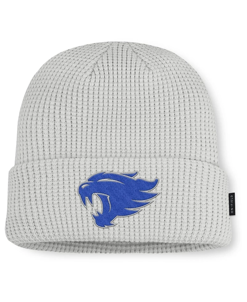 Nike Men's Gray Kentucky Wildcats 2025 On-Field Utility Cuffed Knit Hat