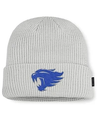 Nike Men's Gray Kentucky Wildcats 2025 On-Field Utility Cuffed Knit Hat