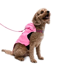 Tommy Bahama Pet Raincoat & Apparel Harness