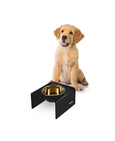The Licker Store Keaton Modern Acrylic Rectangular Elevated Pet Feeder with 2-Stainless Steel Bowls