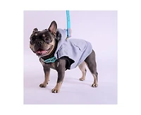 K9 Wear Starter Kit with Grey Hoodie