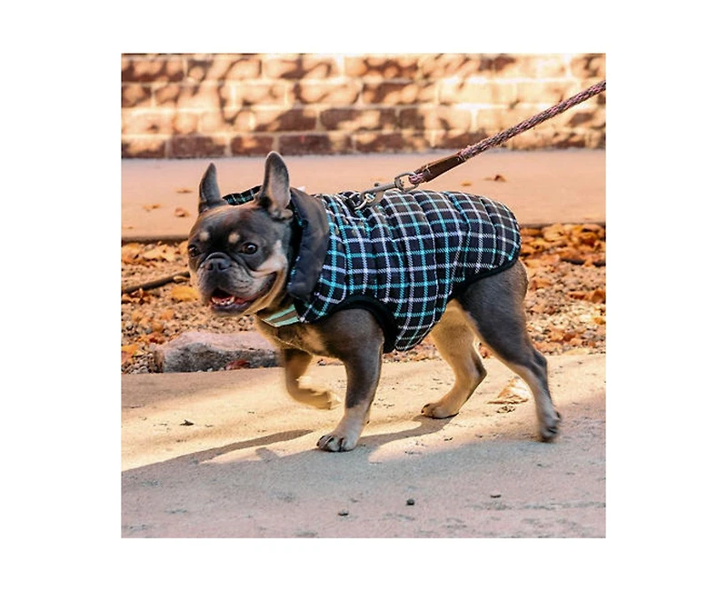 K9 Wear Starter Kit with Puffer Jacket