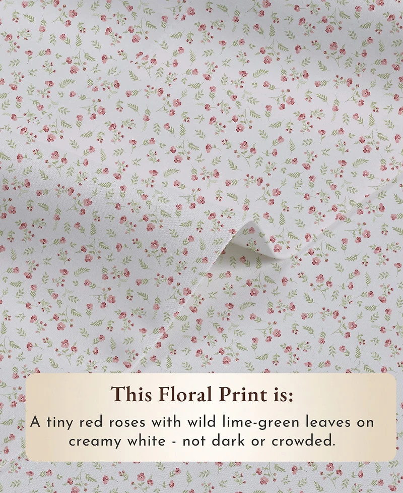 Printed Quatrefoil - 100% Organic Cotton Percale Twin Extra Long Sheets Set - Deep Pocket,